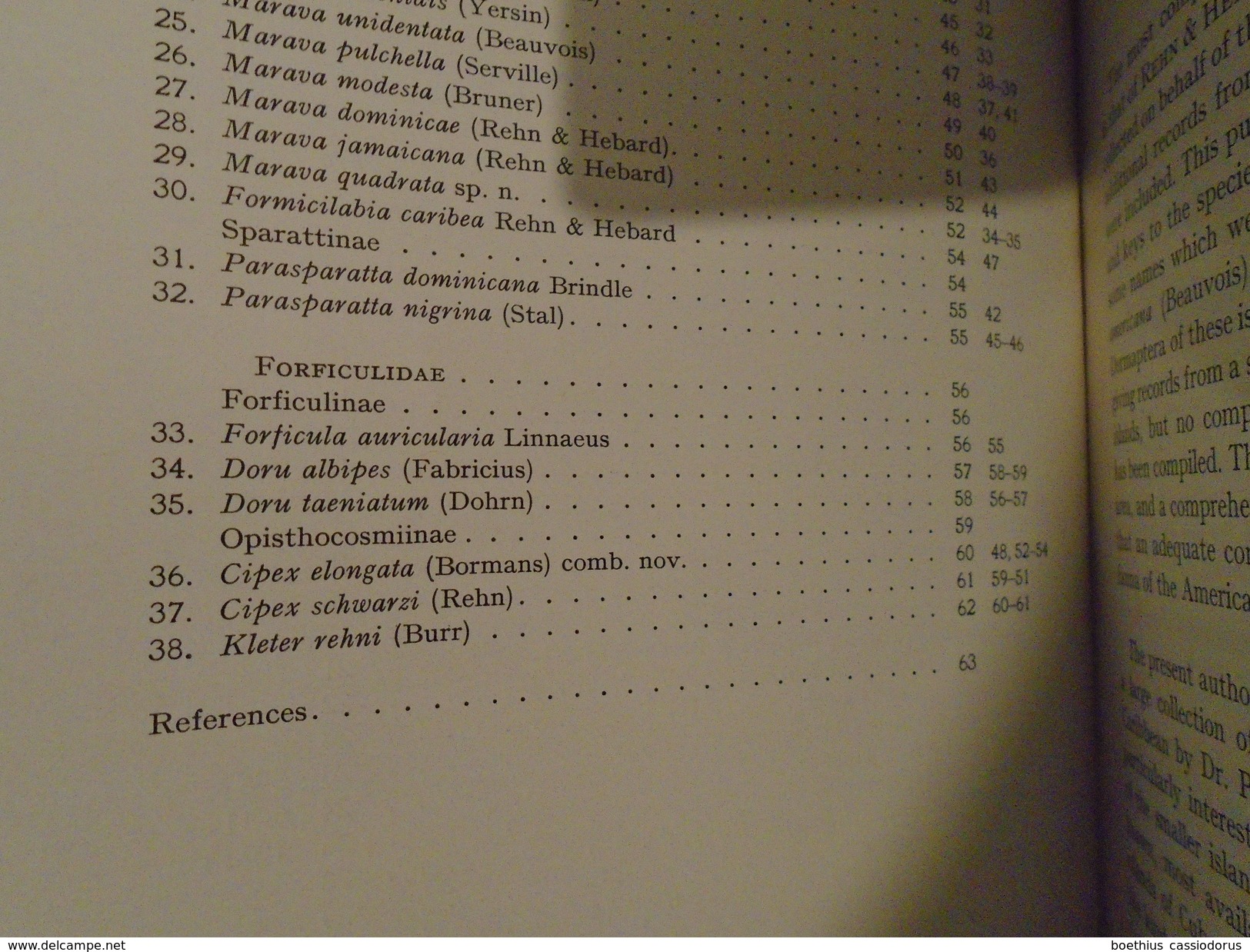 THE DERMAPTERA OF THE CARIBBEAN  1971  by A. BRINDLE, Dermaptères entomologie insectes, Caribbean, Fauna of Curacao...