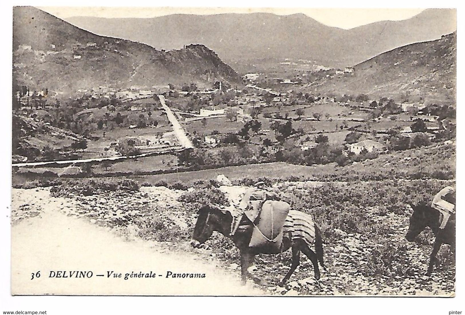 ALBANIE - DELVINO - Vue Générale, Panorama - Albanie