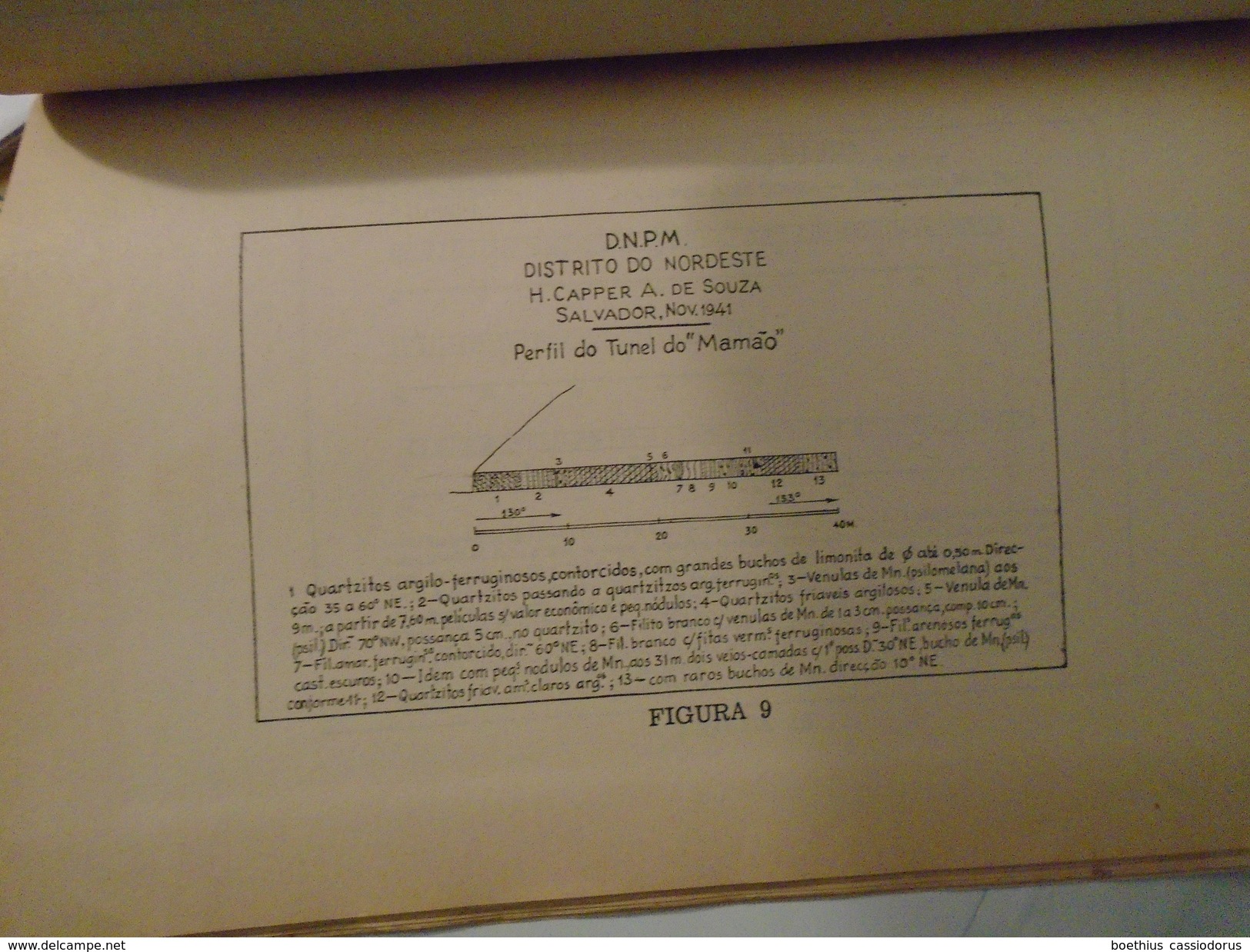 MANGANÊS NA BAIA POR HENRIQUE CAPPER ALVES DE SOUZA 1942 / BRESIL BAHIA Géologie - Old Books