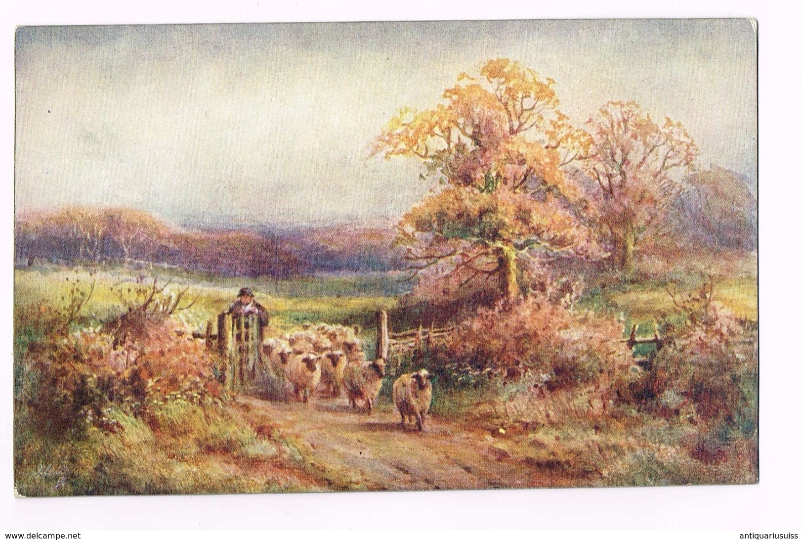 IN THE SCOTTISH HIGHLANDS - Scotland -HIGHLAND PASTURES - SHEEP-  TUCK'S POST CARD - Peintures & Tableaux