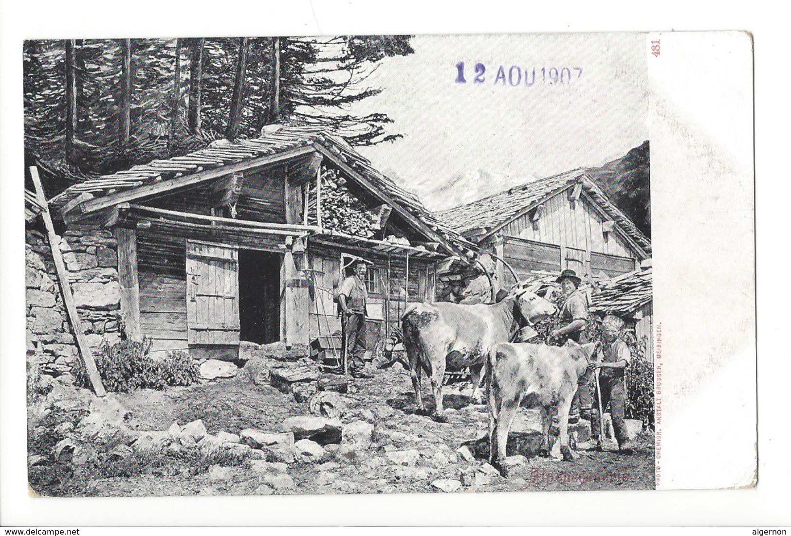 18433- Vaches Et Paysants Devant Chalet 1907 - Vaches