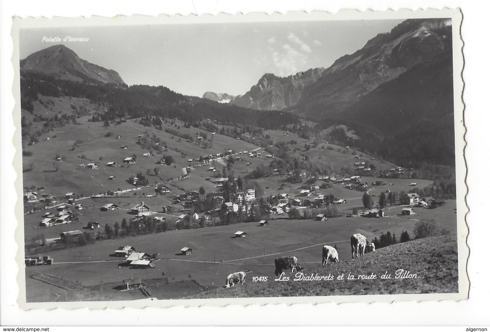 18442 -  Les Diablerets Et La Route Du Pillon Vaches - Autres & Non Classés