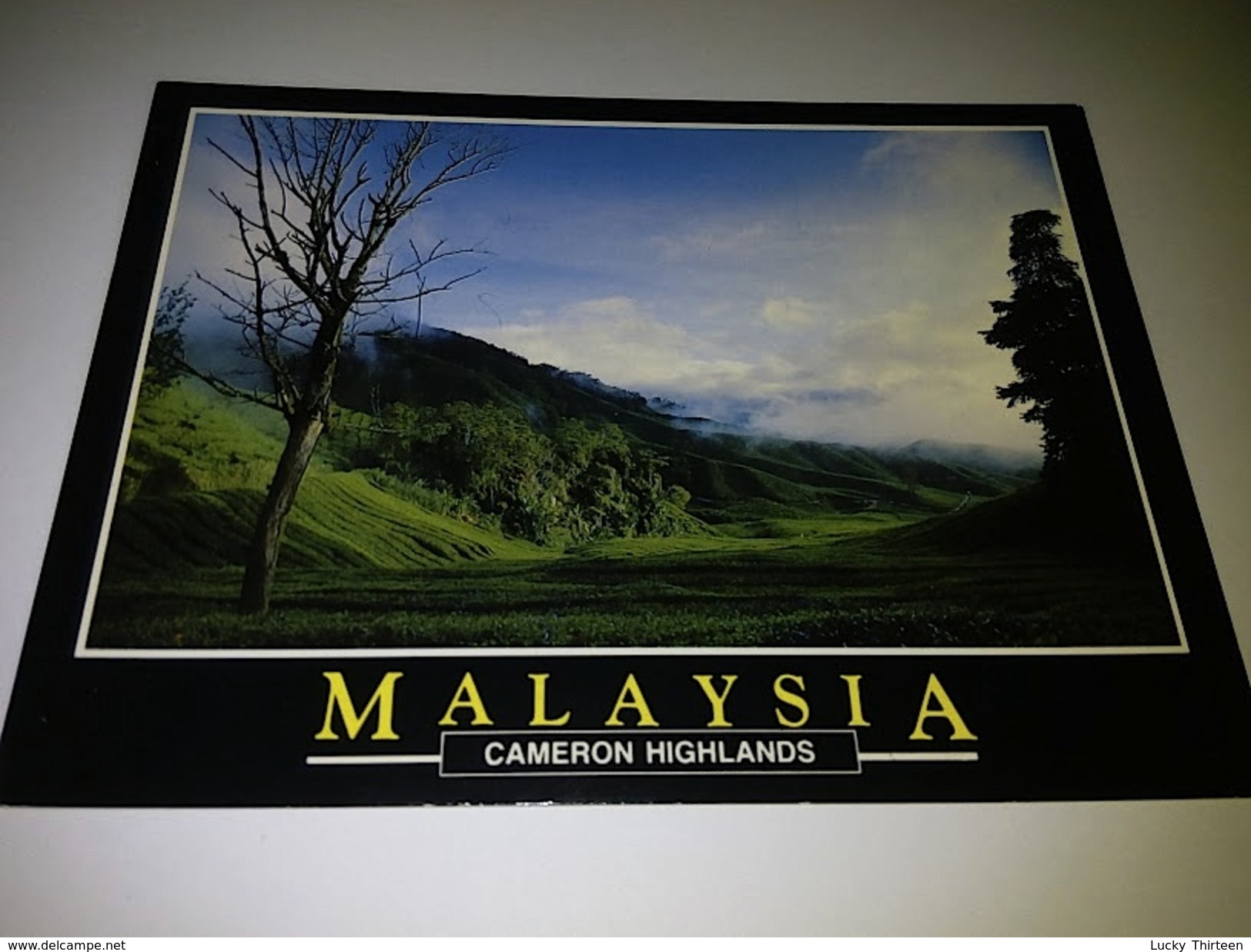 New Unused Postcard Malaysia #4 - Maleisië