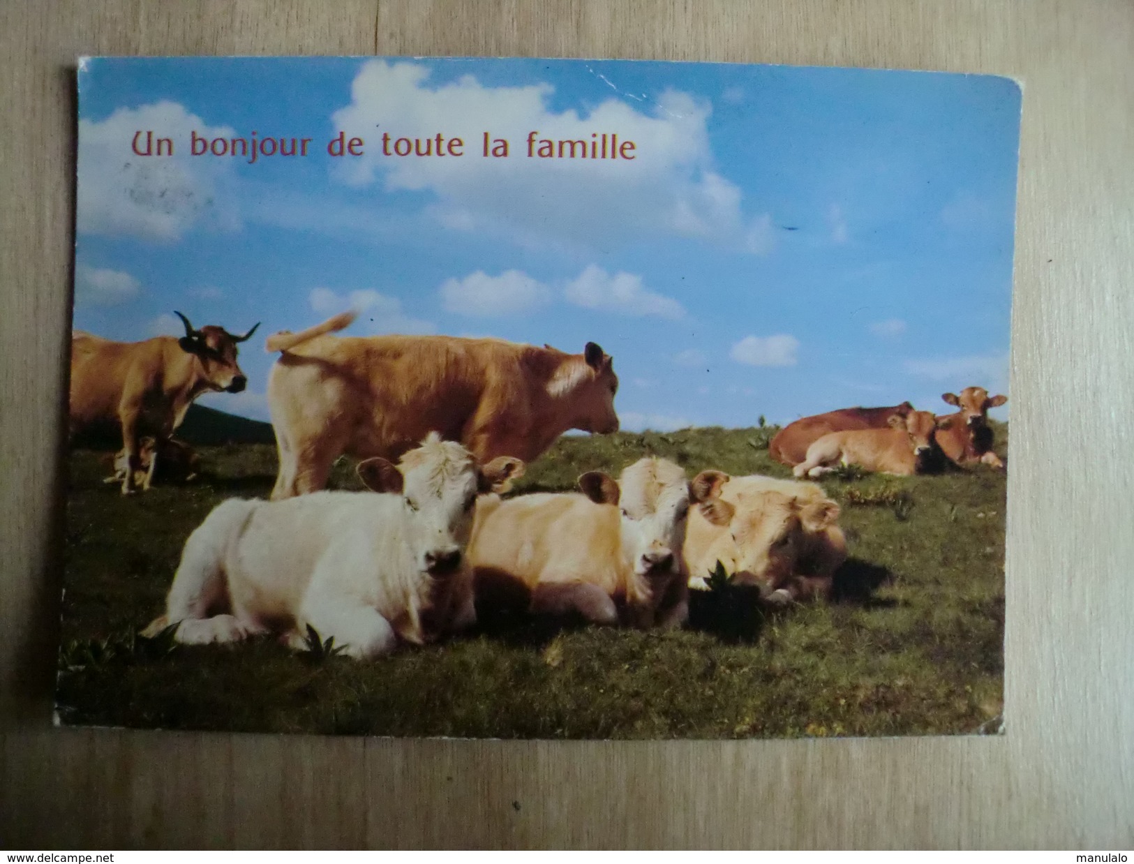 Humour - Un Bonjour De Toute La Famille - Lalouvesc - Humour