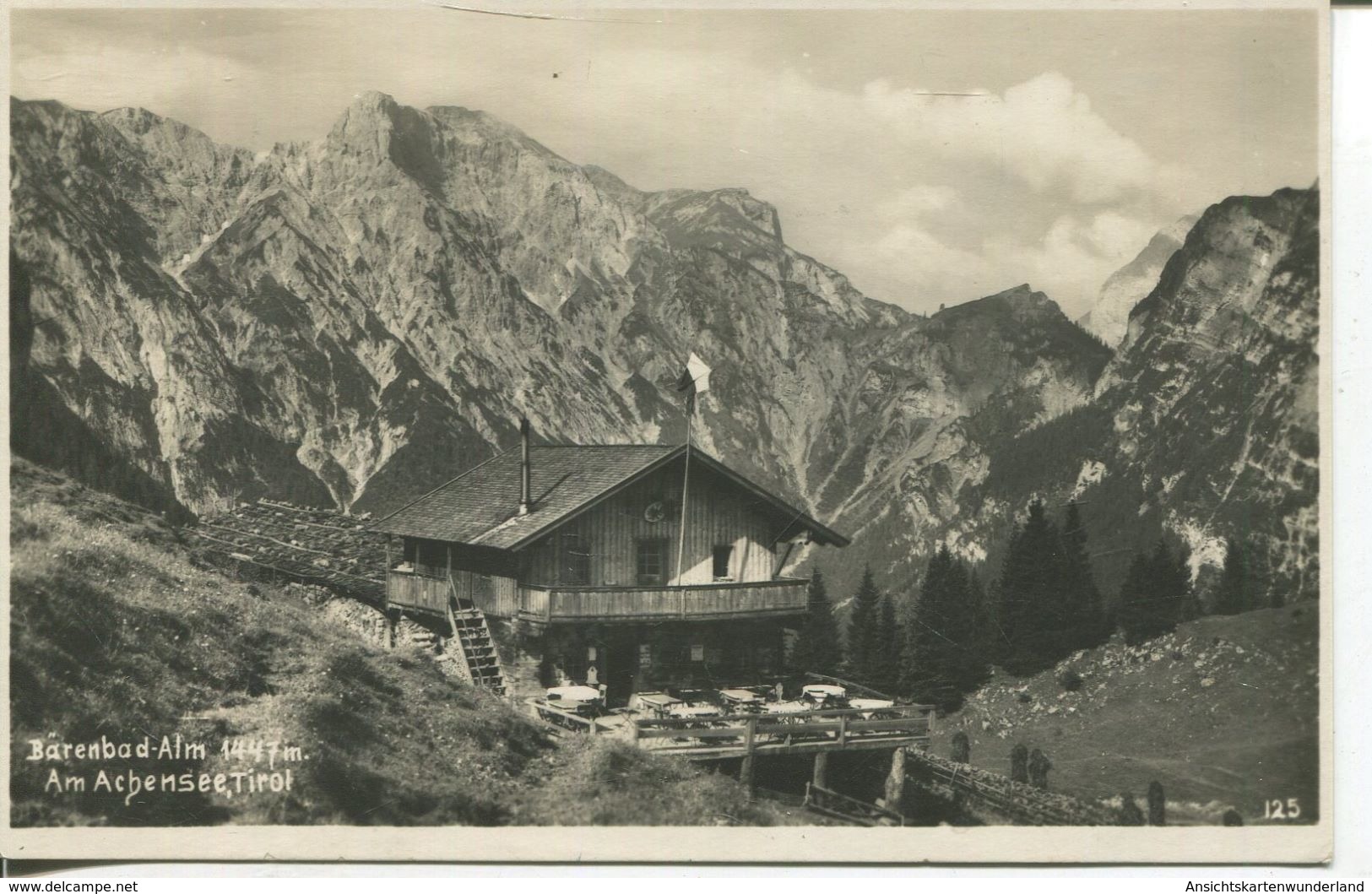 Bärenbad- Alm Am Achensee (002248) - Achenseeorte