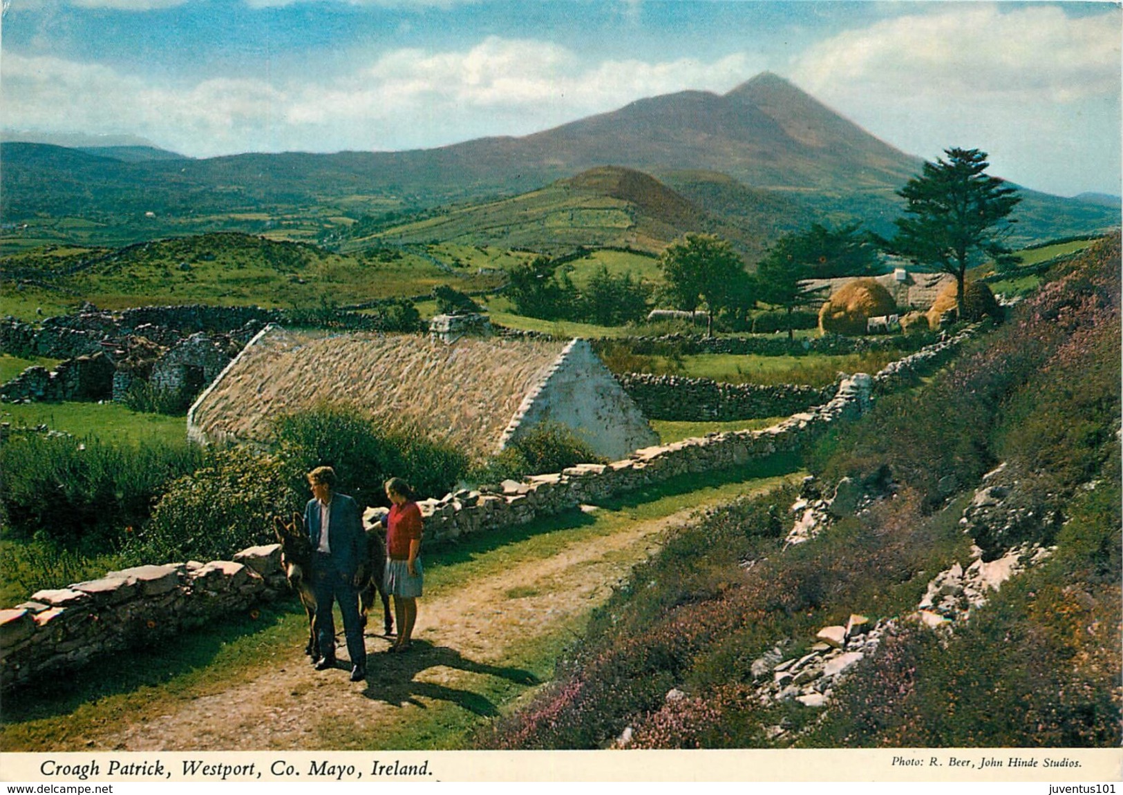 CPSM Croagh Patrick,Westport,Mayo    L2487 - Mayo