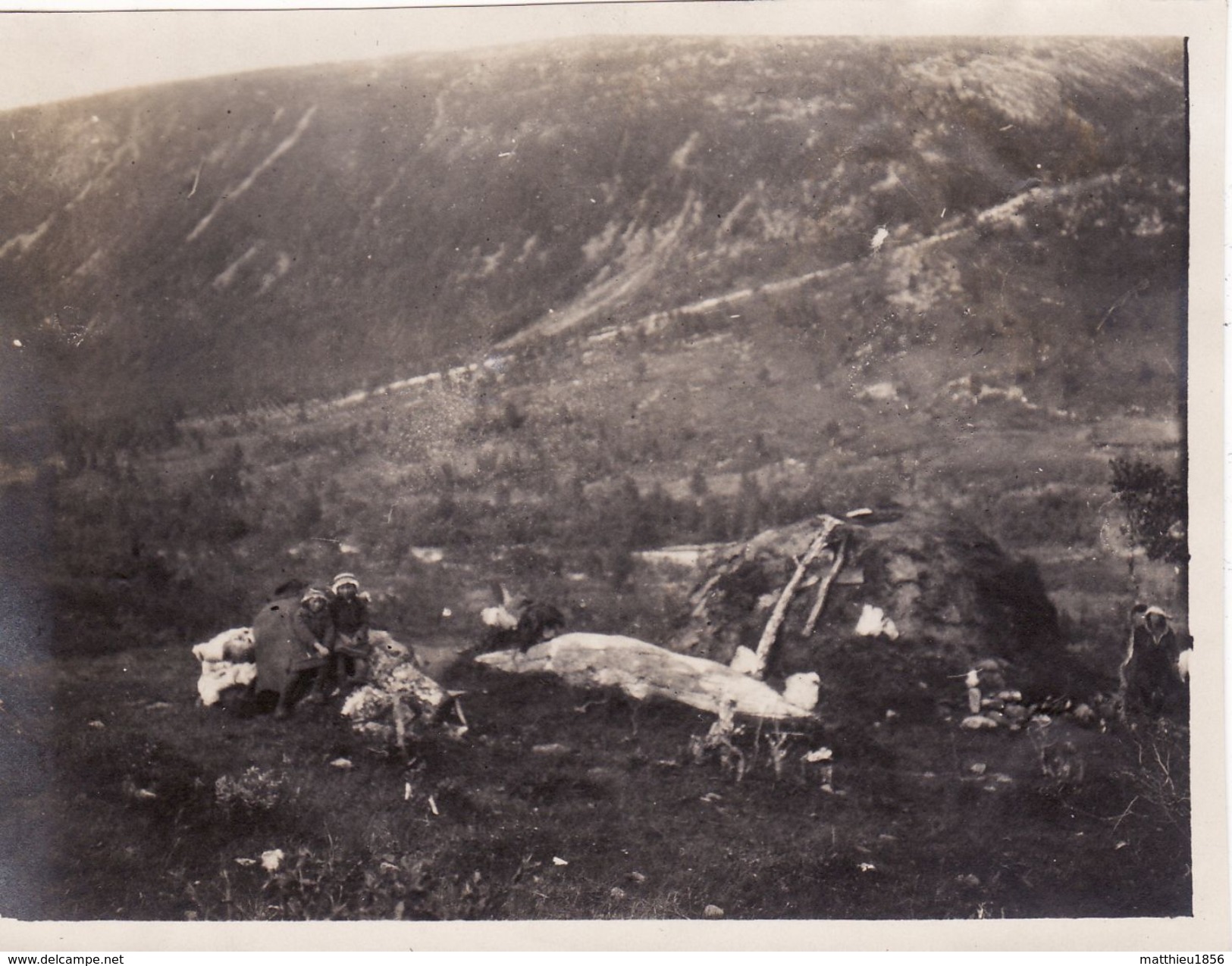 Photo Juillet 1921 TROMSO - Lapp, Lappeleir (A184) - Norwegen