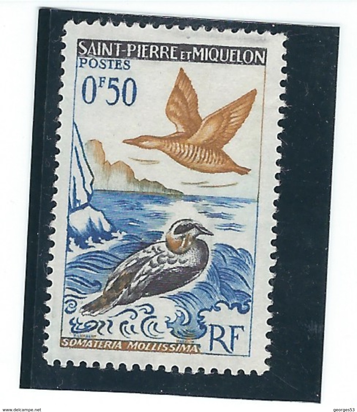 Saint Pierre Et Miquelon N° 364   O  Val : YT :0,65 € - Oblitérés