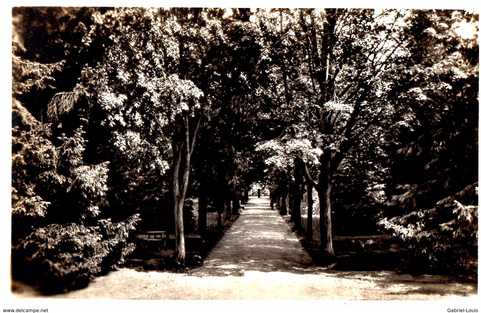 Lucens Home Protestant De Jeunes Filles Le Parc - Lucens