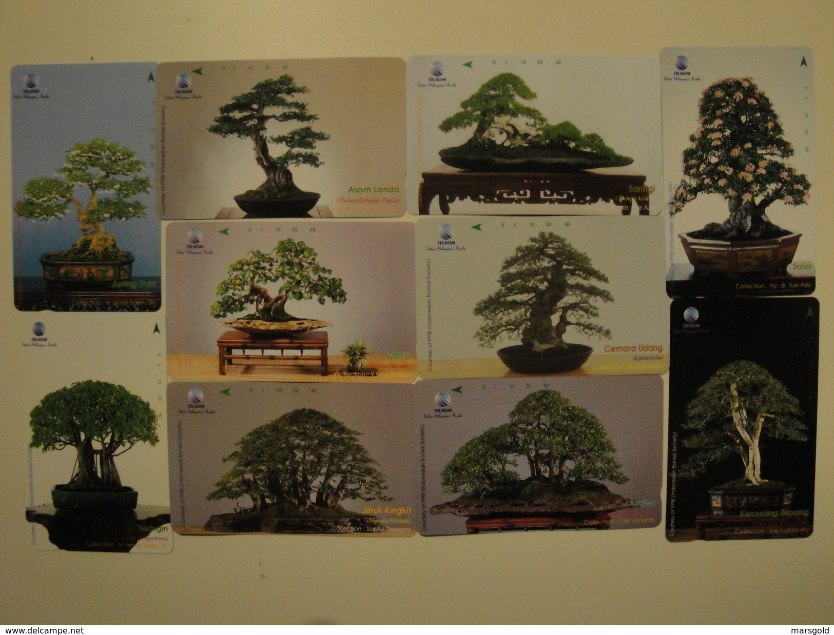 10 Tamura Phonecards From Indonesia - Bonsai With Different Back Side (all With EDISI TARBATAS) - Indonesia