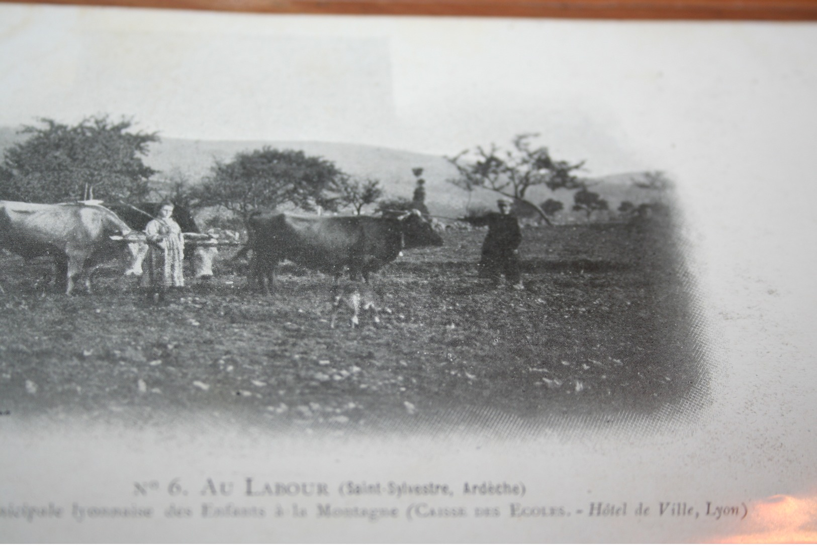 CPA Au Labour ( Saint Sylvestre Ardèche ) "Oeuvre Municipale Lyonnaise Des Enfants à La Montagne" N° 6 - Paysans