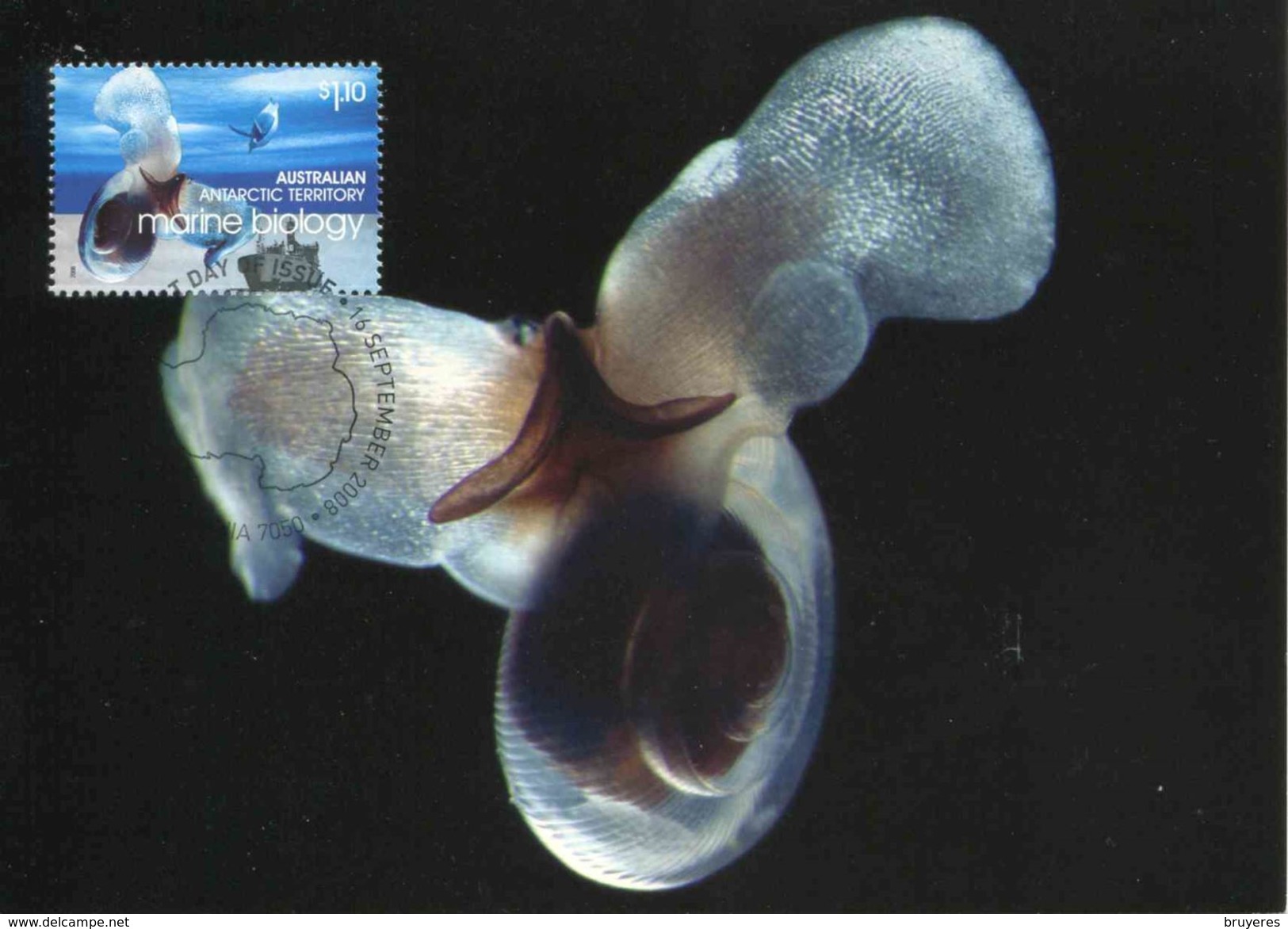 Entier Postal De 2008 Sur CP Avec Timbre "Biologie Marine - Espèce D'Escargot Des Mers" - Oblit. PJ 13 Sept 2008" - Tarjetas – Máxima