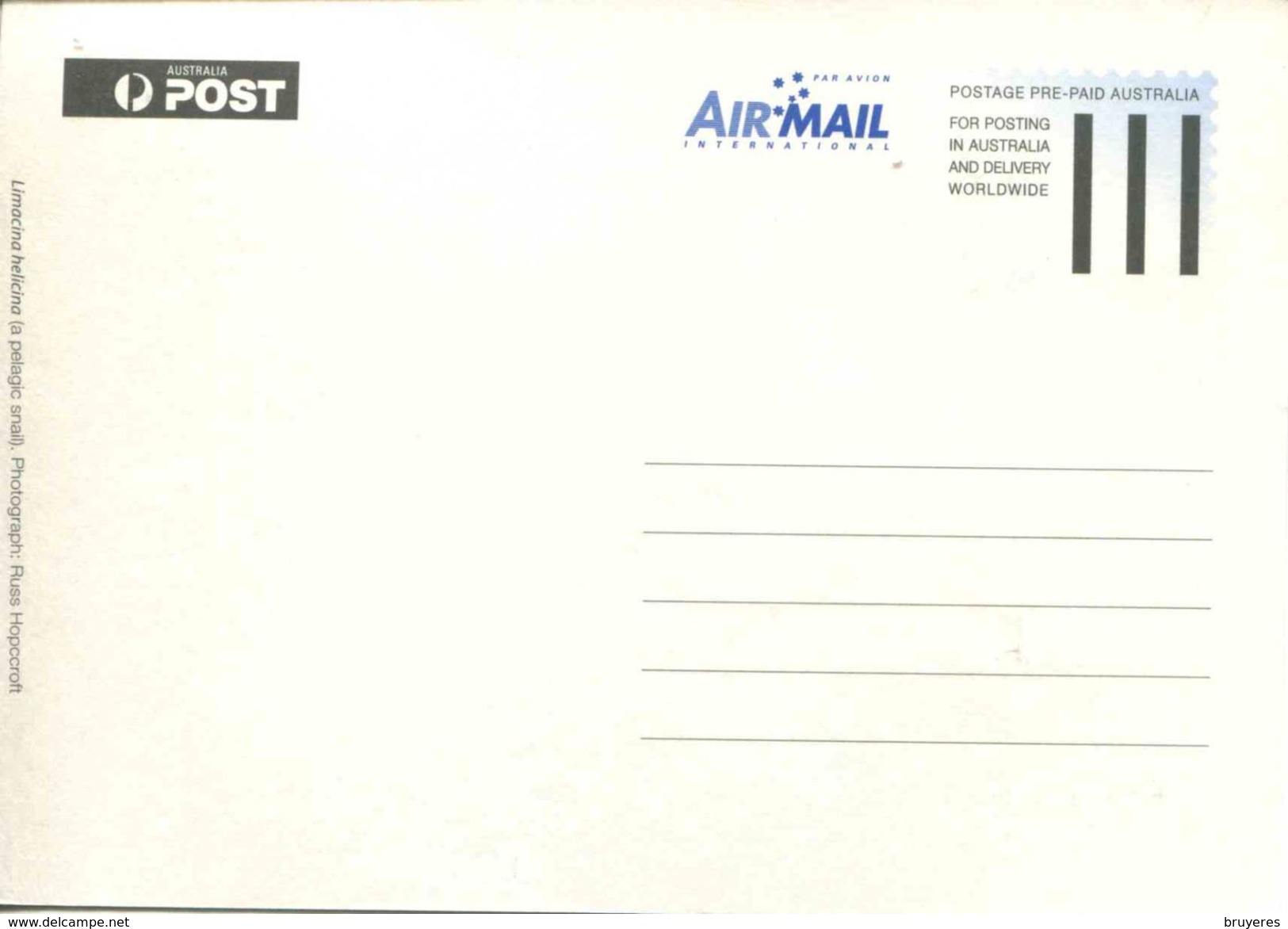 Entier Postal De 2008 Sur CP Avec Timbre "Biologie Marine - Espèce D'Escargot Des Mers" - Oblit. PJ 13 Sept 2008" - Cartoline Maximum