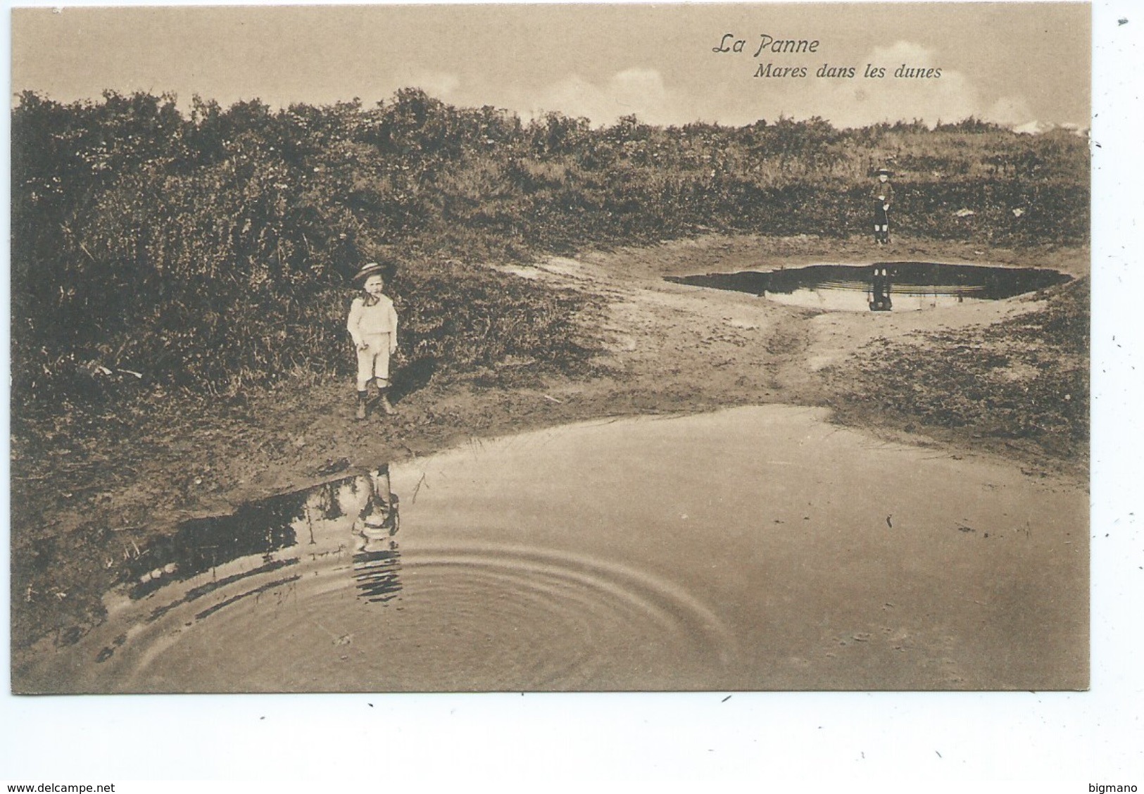 De Panne Mares Dans Les Dunes - De Panne