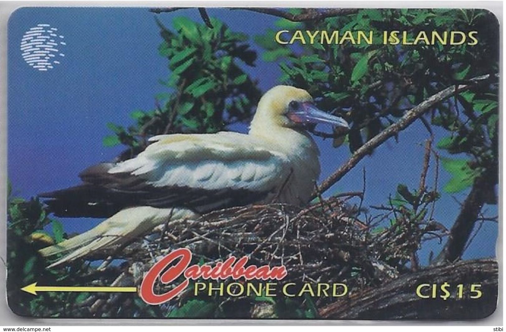 CAYMAN ISLANDS - RED FOOTED  BOOBY - 11CCID - Kaimaninseln (Cayman I.)