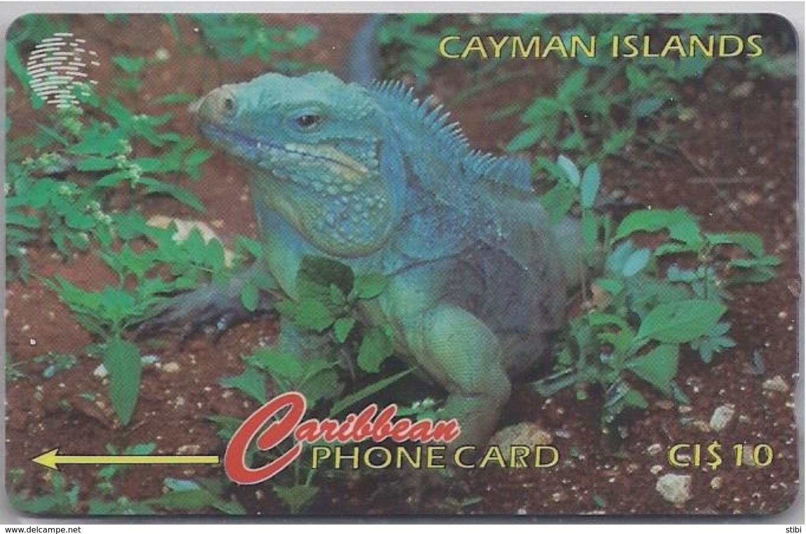 CAYMAN ISLANDS - GRAND CAYMAN IGUANA - 13CCIB - Kaaimaneilanden