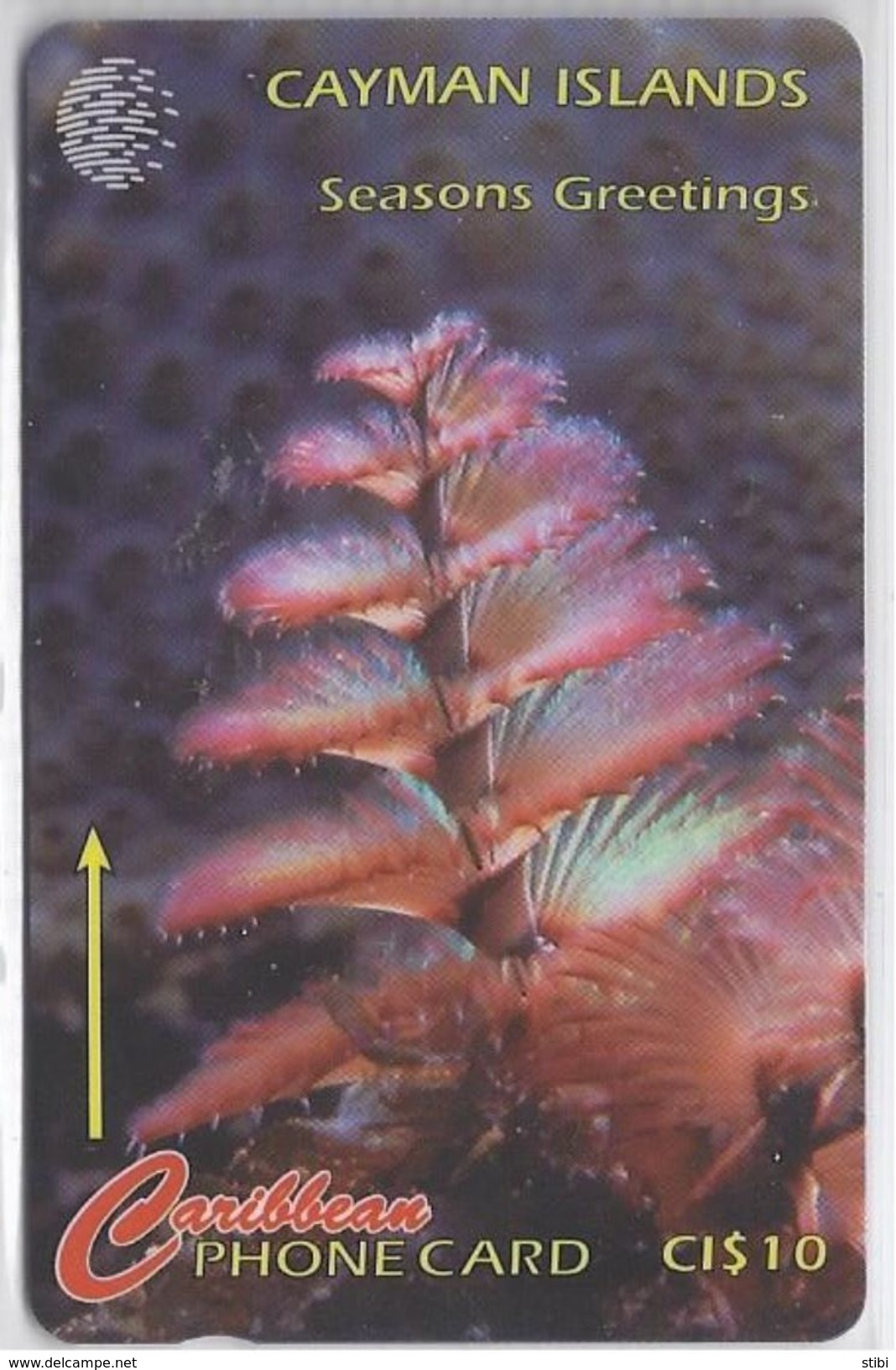 CAYMAN ISLANDS - XMAS TREE WORM - 47CCIA - Isole Caiman