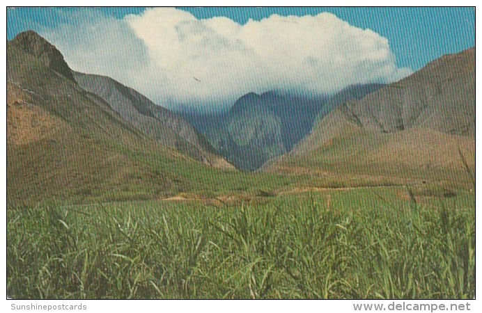 Hawaii Maui Ukumehama Canyon 1971 - Maui