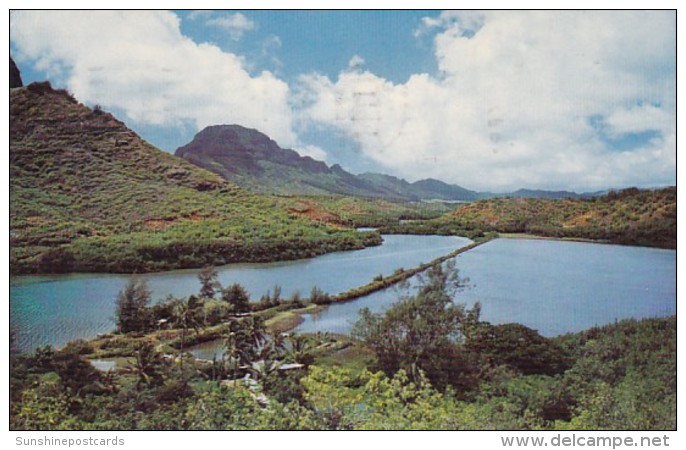 Hawaii Kauai Menehune Fish Pond 1967 - Kauai