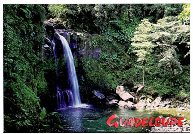 GUADELOUPE La Forêt Tropicale, Capesterre-Belle-Eau, 3ième Chute Du Carbet - Autres & Non Classés