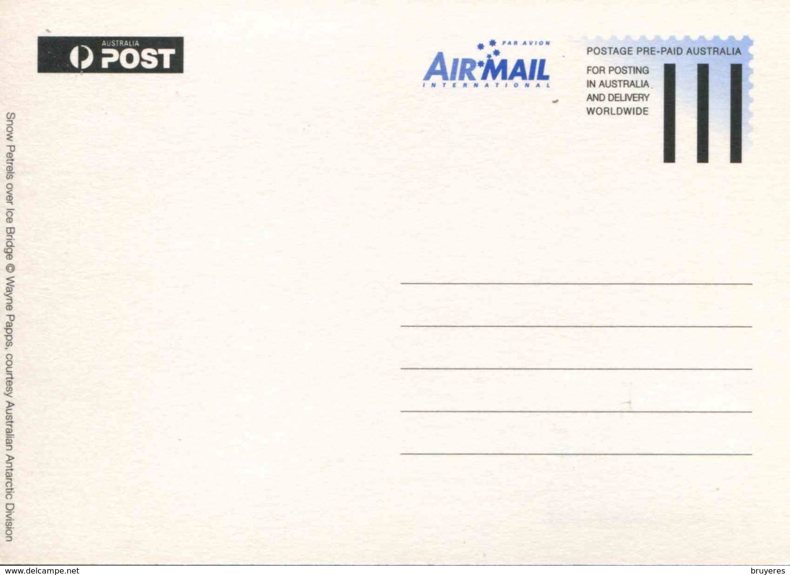 Entier Postal De 2009 Sur CP Avec Timbre Et Illust. "Pétrel Des Neiges" - Oblit. PJ 04 Mars 2009" - Maximum Cards