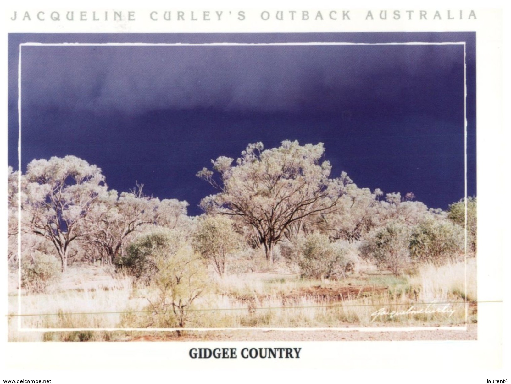 (615) Australia - With Stamp At Back - Gidgee  Country - Outback
