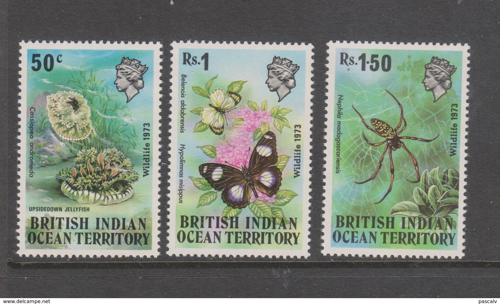 Yvert 54 / 56 ** Neuf Sans Charnière MNH Méduse Araignée Papillon - British Indian Ocean Territory (BIOT)