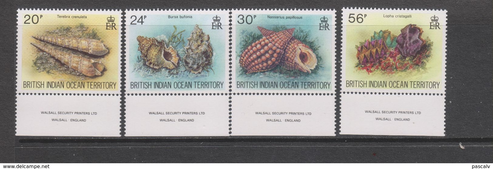 Yvert 173 / 176 ** Neuf Sans Charnière MNH Coquillage Shell - British Indian Ocean Territory (BIOT)