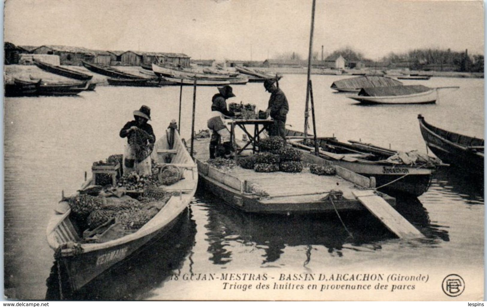 33 - GUJAN MESTRAS -- Triage Des Huitres En Provenance Des Parcs - Gujan-Mestras