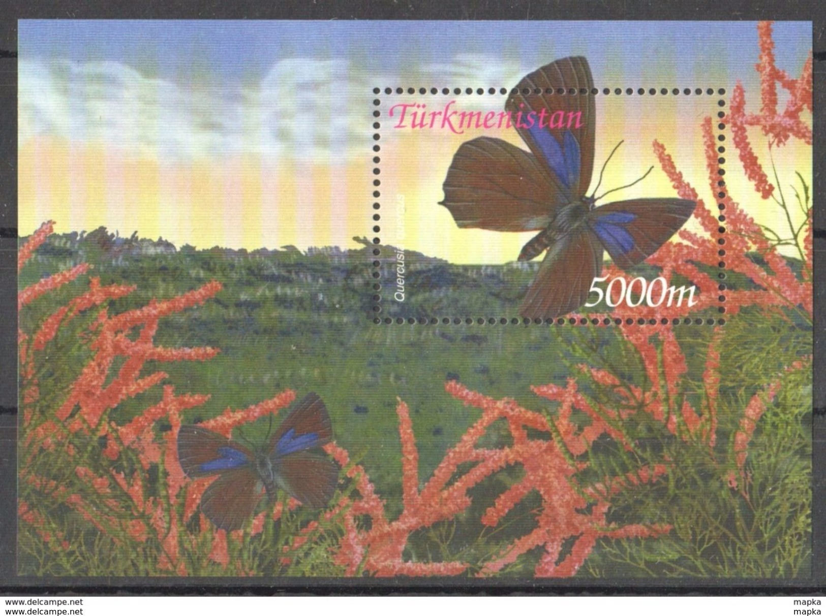 G450 TURKMENISTAN FAUNA BUTTERFLIES 1BL MNH - Schmetterlinge