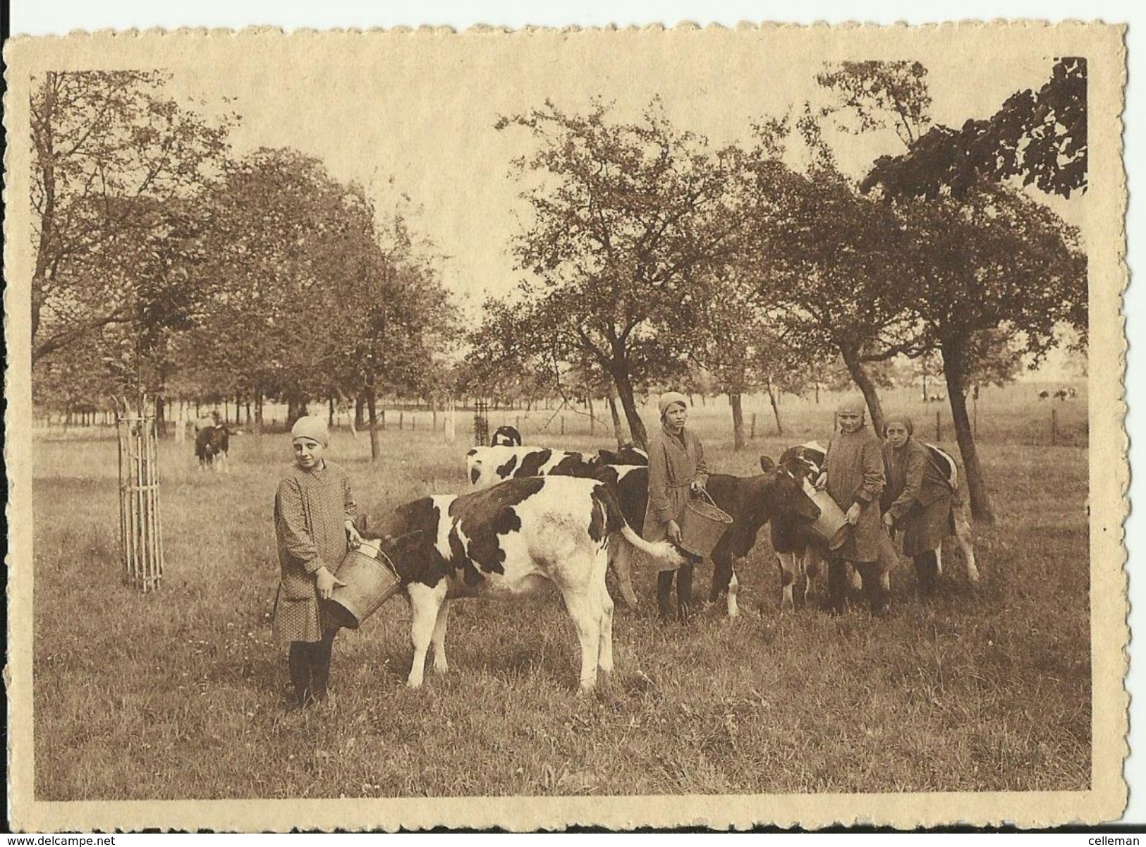 Heverlee Middelbare Landbouwhuishoudschool , Bij De Kalfjes (i551) - Autres & Non Classés