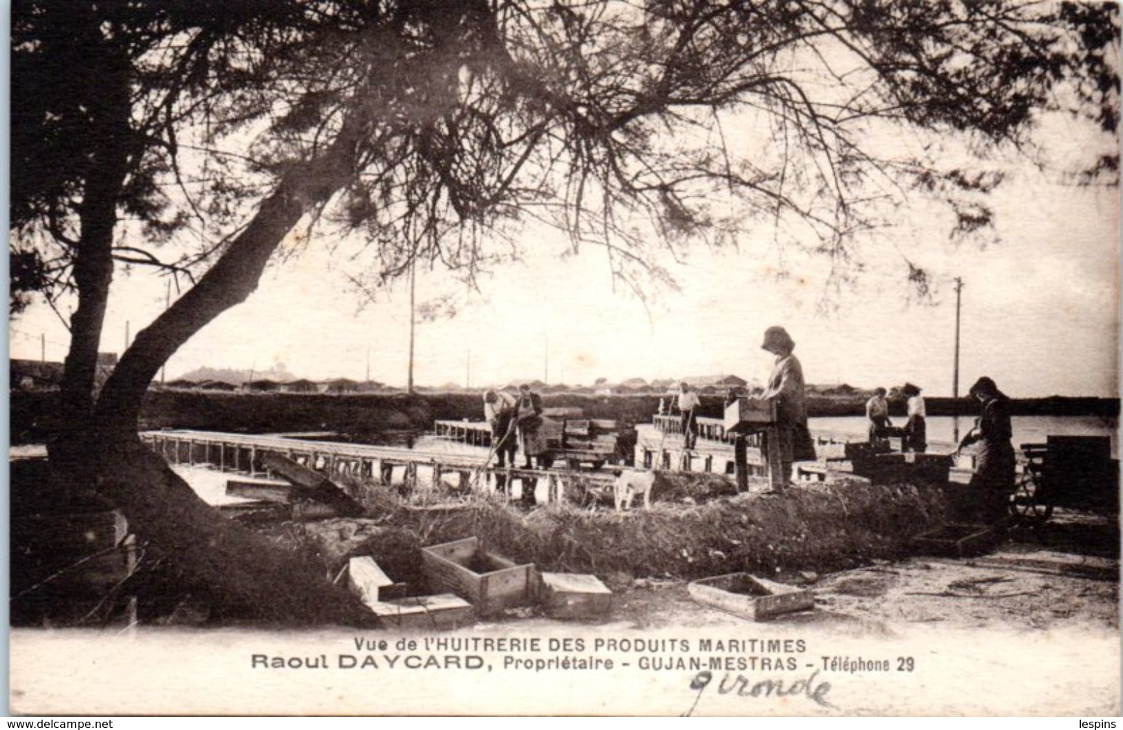 33 - GUJAN MESTRAS -- Vue De L'Huitrerie Des ....Raoul DAYCARD , Propriétaire - Gujan-Mestras