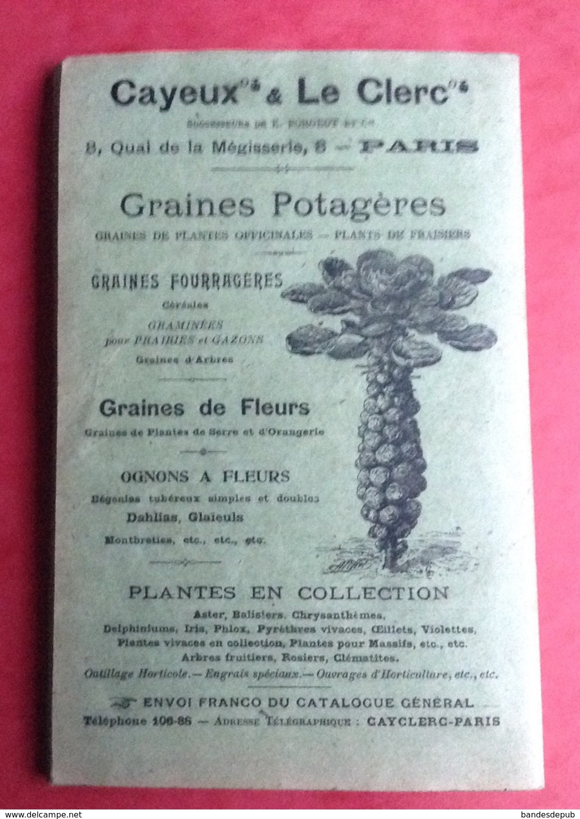 Rare Almanach Jardiniers 1905 Horticulture Illustré Grasset ? 128 Pages Plus 10 Pages Pub Plon Nourrit - Big : 1901-20