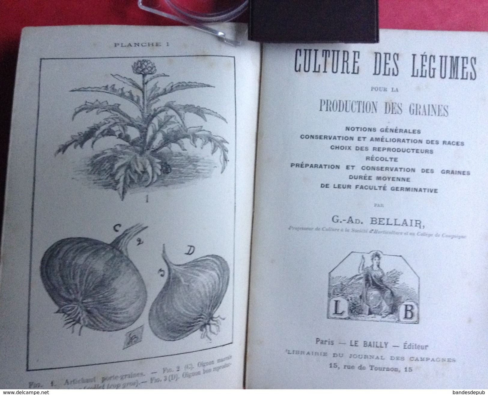 Culture Légumes Production Graines Bellair 35 Pages  2 Illustrations Hors Texte Bornemann - 1901-1940