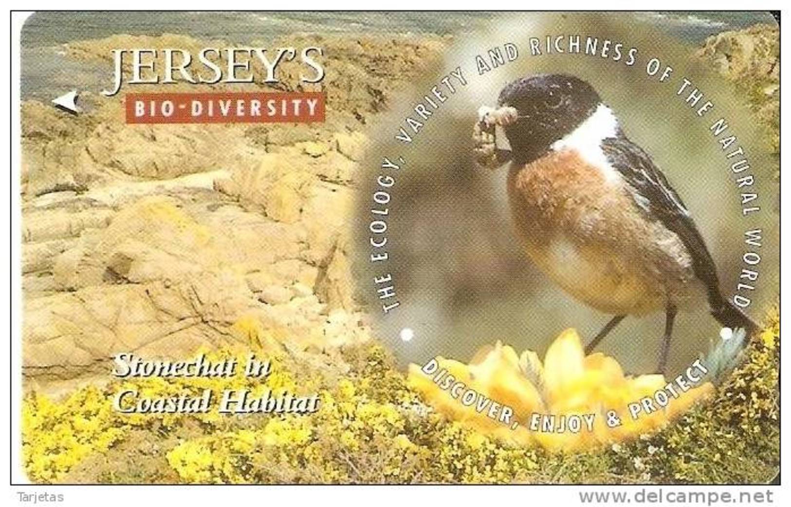 JER-173 TARJETA DE JERSEY STONECHAT   (57JERC)   PAJARO-BIRD - [ 7] Jersey Y Guernsey