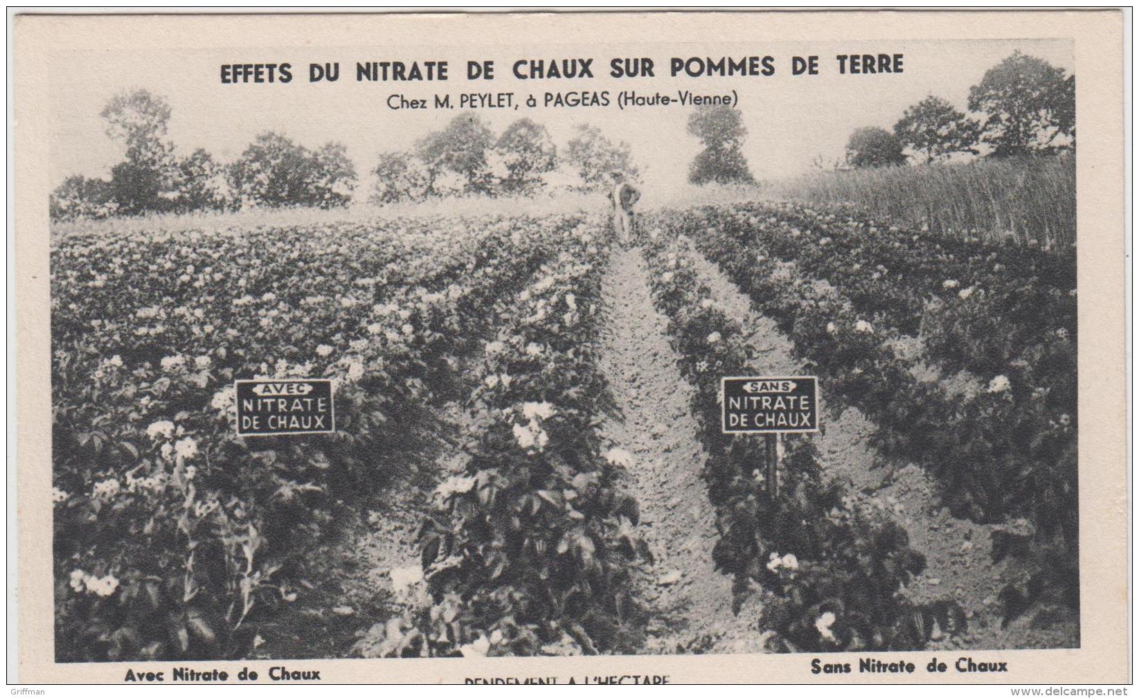 PAGEAS CHEZ Mr PEYLET EFFETS DU NITRATE DE CHAUX SUR LES POMMES DE TERRE TBE - Autres & Non Classés