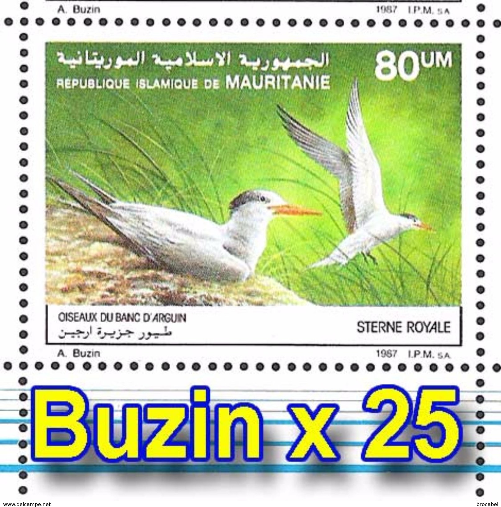 Mauritanie 0605/06**  - Oiseaux De Buzin - MNH Feuilles / Sheet De 25 - Mauritanie (1960-...)