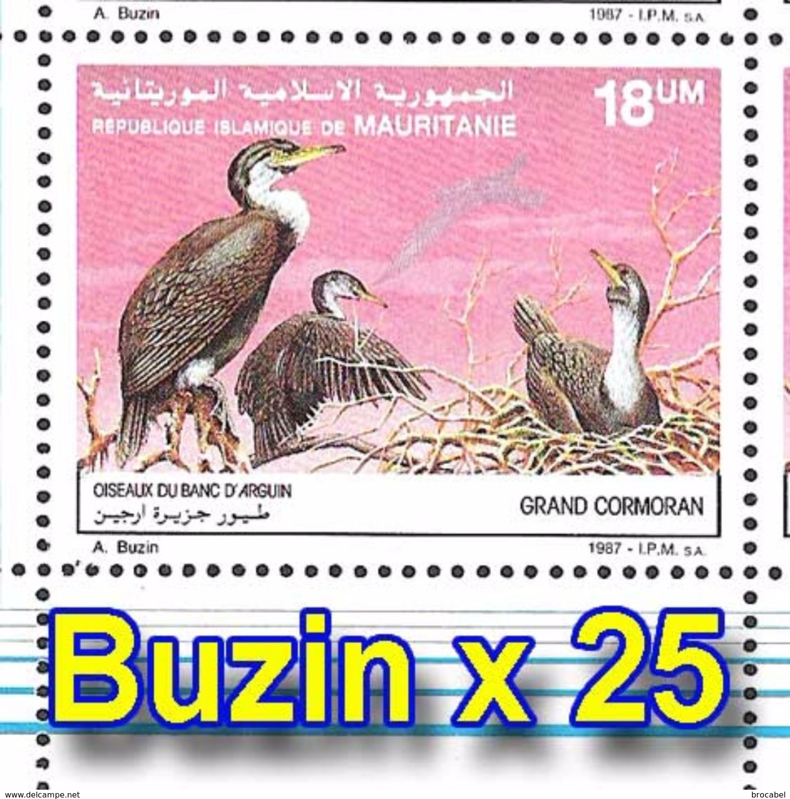 Mauritanie 0605/06**  - Oiseaux De Buzin - MNH Feuilles / Sheet De 25 - Mauritanie (1960-...)