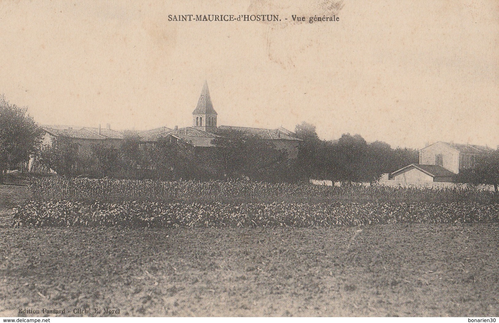 CPA 26 SAINT MAURICE D'HOSTUN VUE GENERALE - Otros & Sin Clasificación