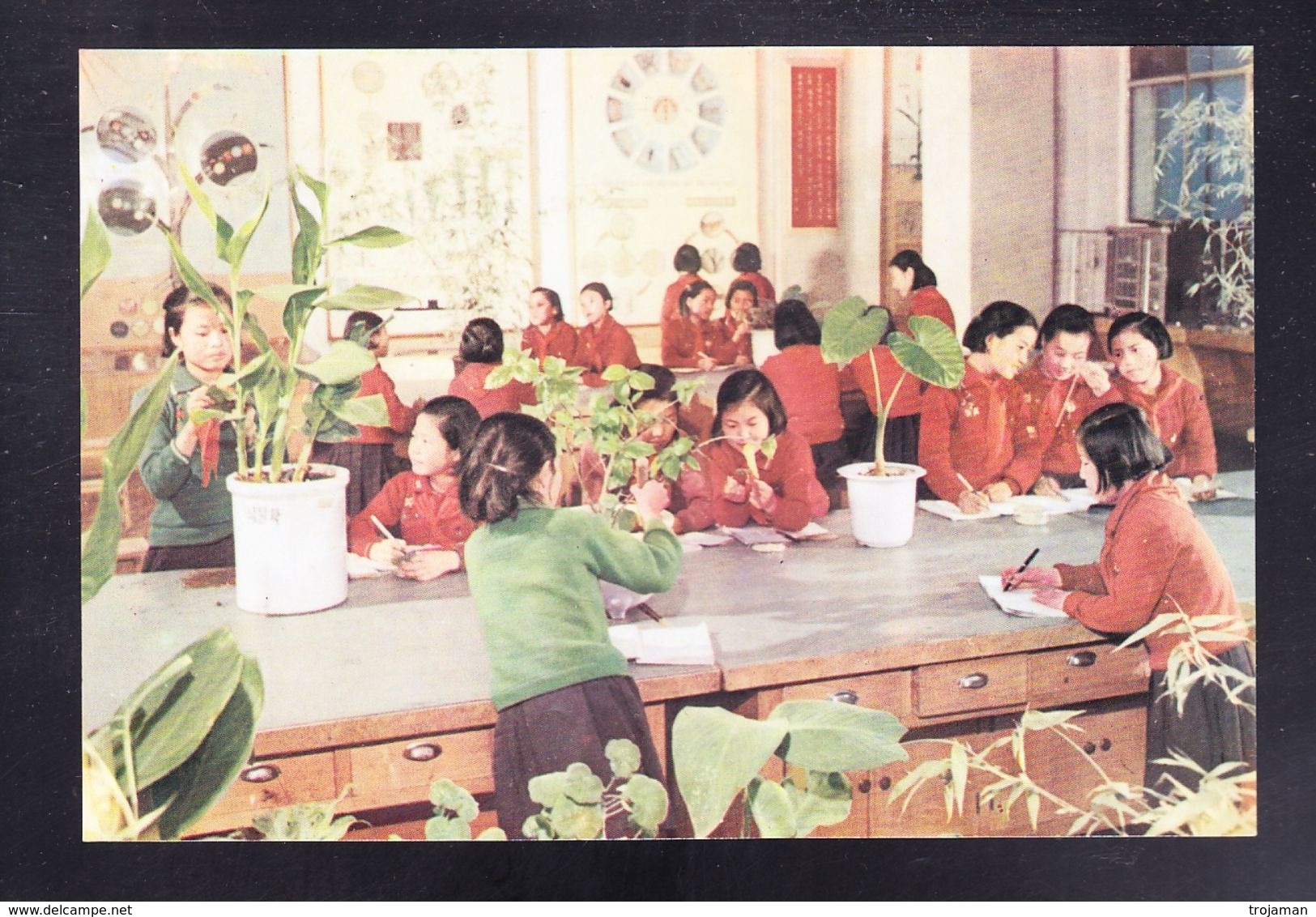 KOR1-48 THE ROOM FOR THE STUDY OF BOTANY - Korea (Noord)