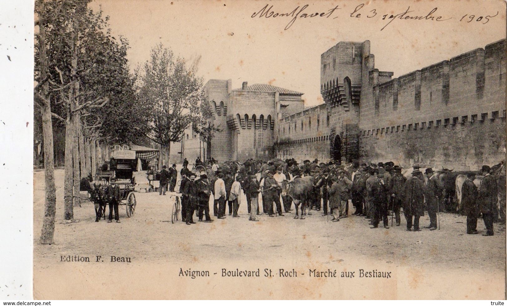 AVIGNON BOULEVARD SAINT-ROCH MARCHE AUX BESTIAUX - Avignon