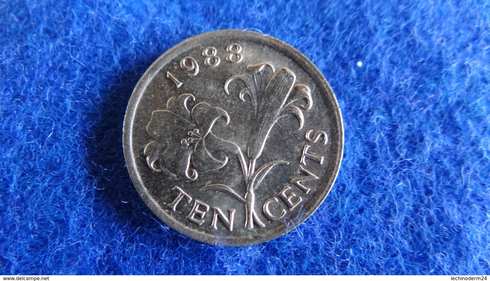 Bermudes, 10 Cents 1988 - Bermudes