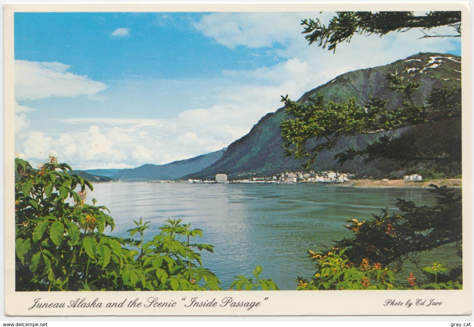 JUNEAU, ALASKA, And The Scenic "Inside Passage" Used Postcard [20693] - Juneau