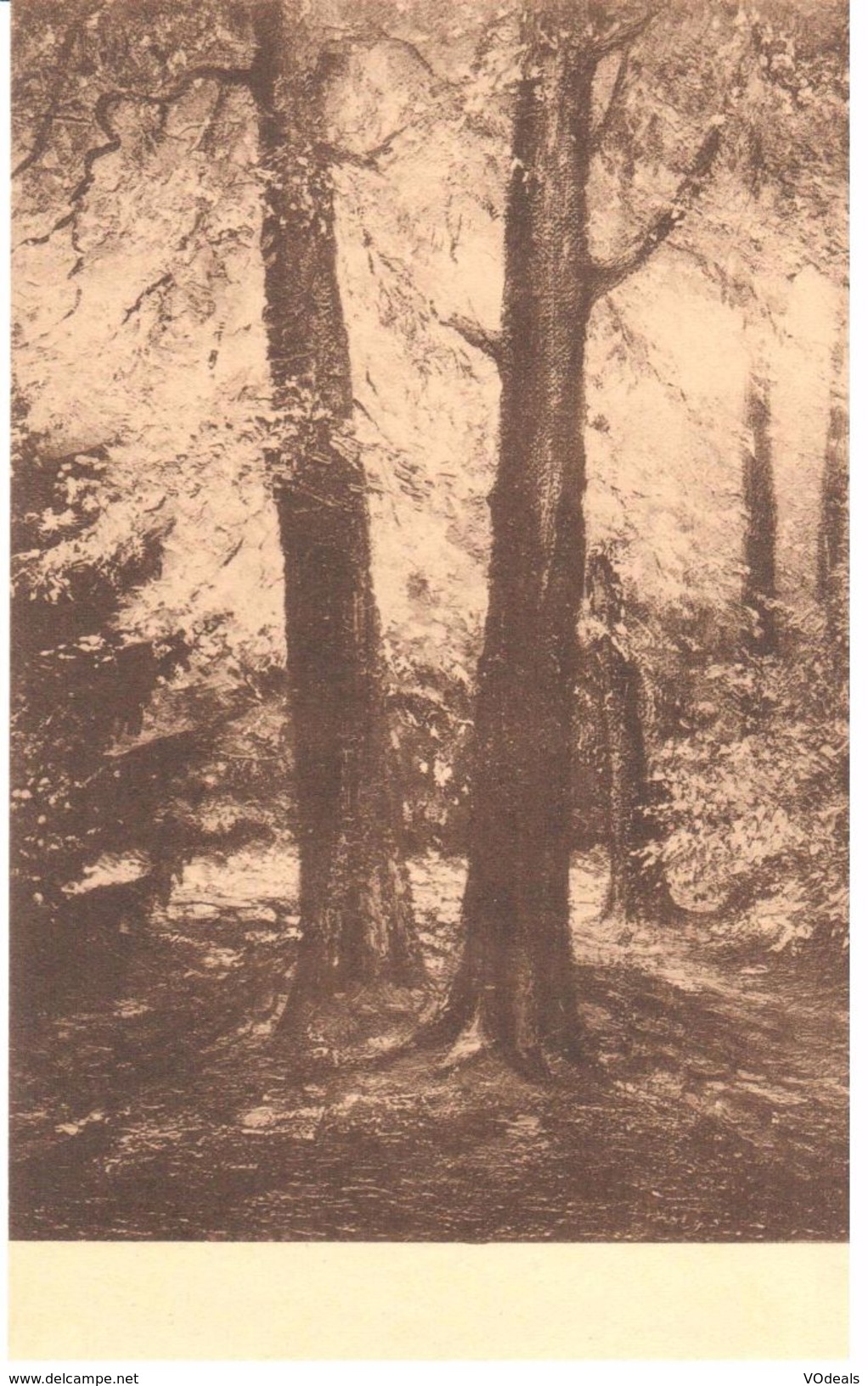 Neufchâteau - L'ardenne - Louis Wilmet - Les Géants De La Forêt - Neufchateau