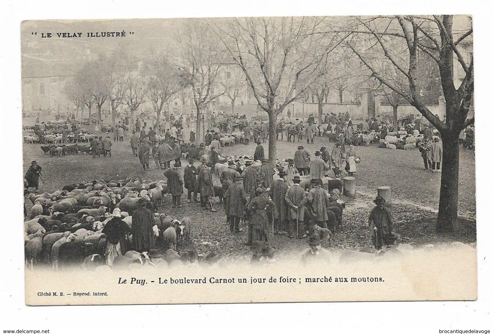 CPA 43 LE PUY EN VELAY Le Boulevard CARNOT Un Jour De Foire : Marché Aux Moutons - Le Puy En Velay