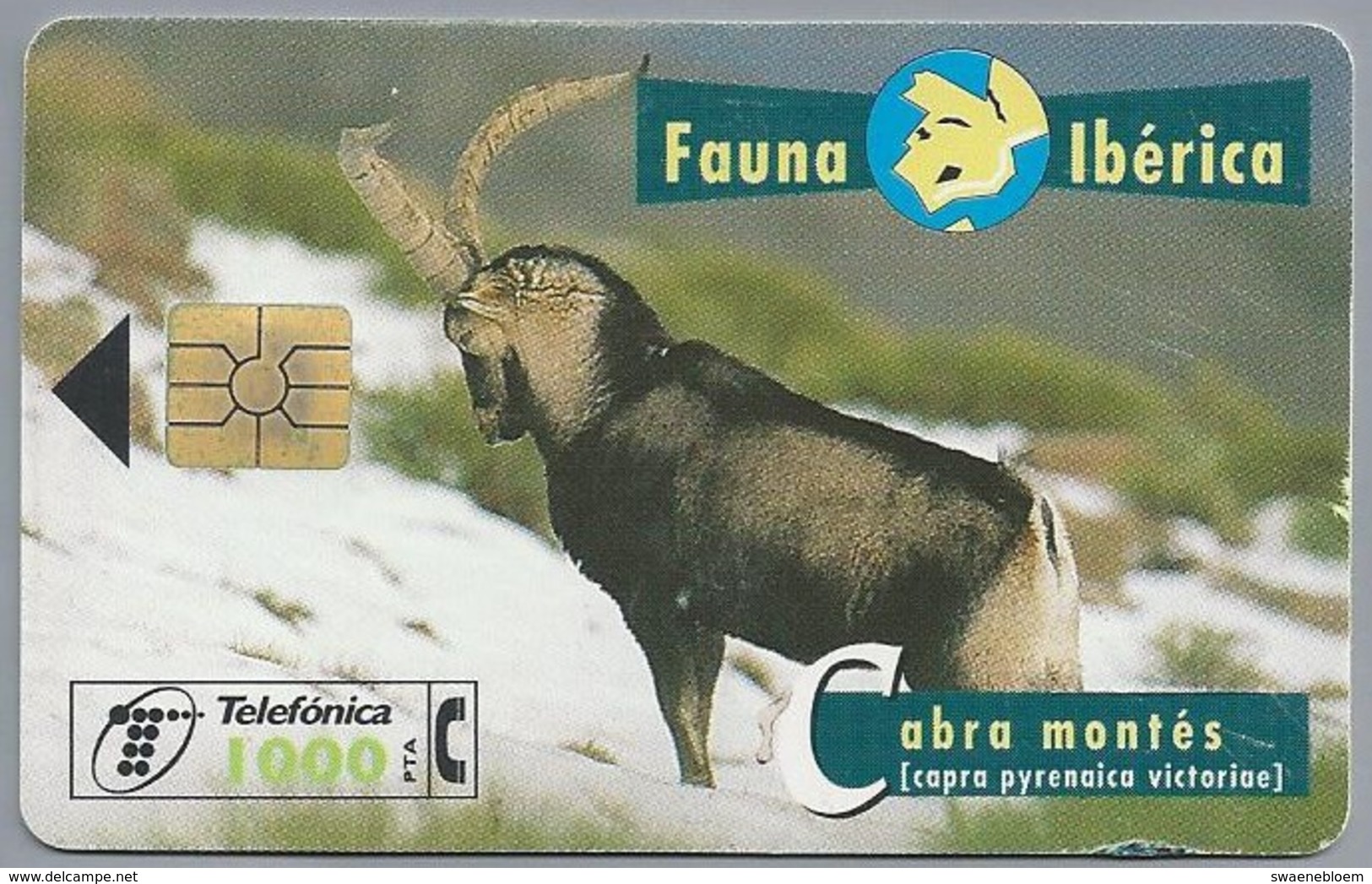 ES.- Telefonica De Espana. CabiTel. Abra Montés. Capra Pyrenaica Victoriae. Steenbok. Fauna Iberica. 2 Scans - Andere & Zonder Classificatie