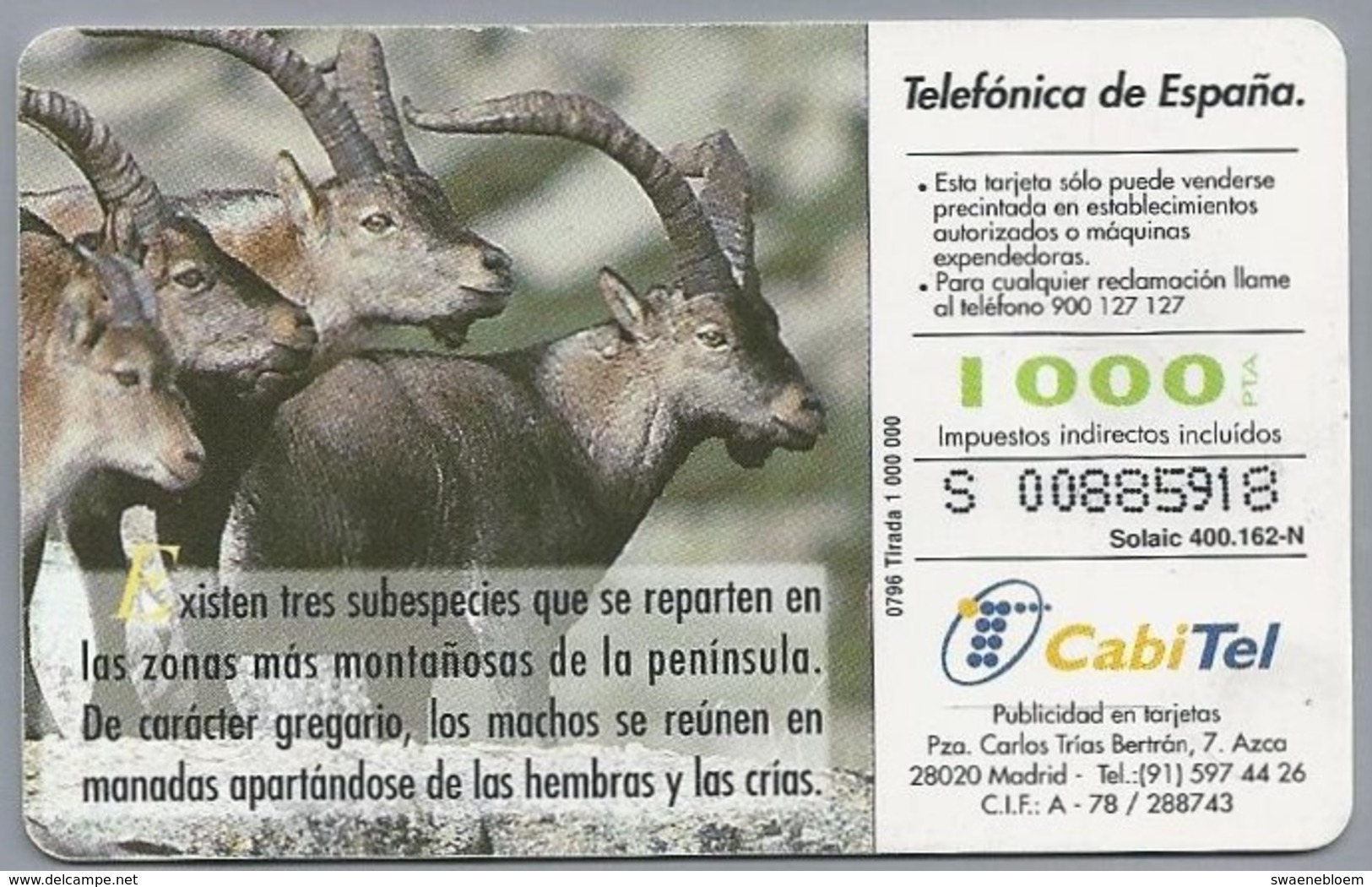 ES.- Telefonica De Espana. CabiTel. Abra Montés. Capra Pyrenaica Victoriae. Steenbok. Fauna Iberica. 2 Scans - Andere & Zonder Classificatie