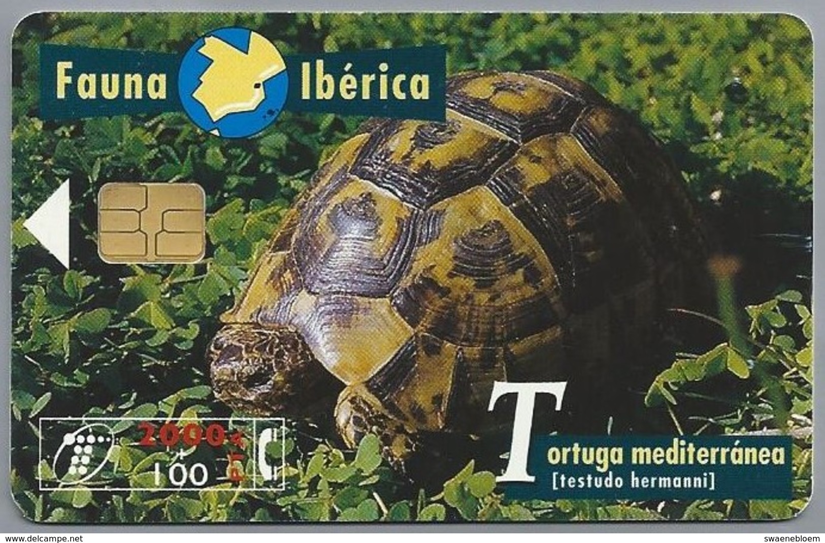 ES.- Telefonica De Espana. CabiTel. Tortuga Mediterranea. Testudo Hermanni. Schilpad. Fauna Iberica. 2 Scans - Schildpadden