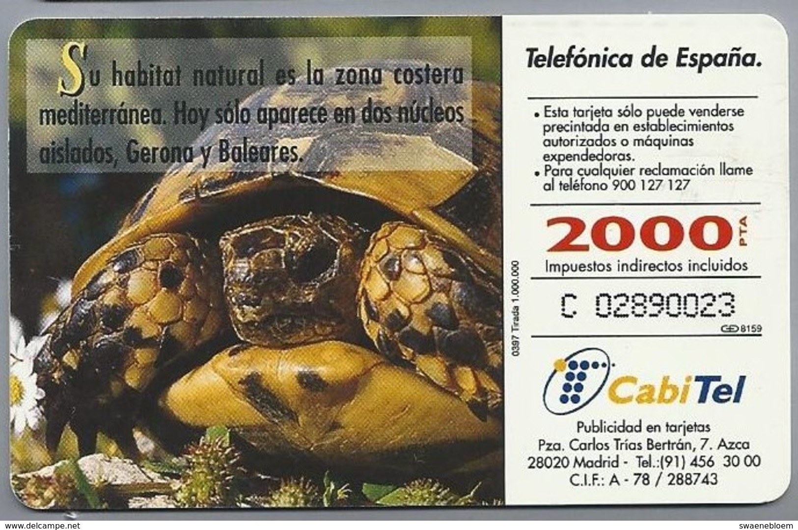 ES.- Telefonica De Espana. CabiTel. Tortuga Mediterranea. Testudo Hermanni. Schilpad. Fauna Iberica. 2 Scans - Turtles