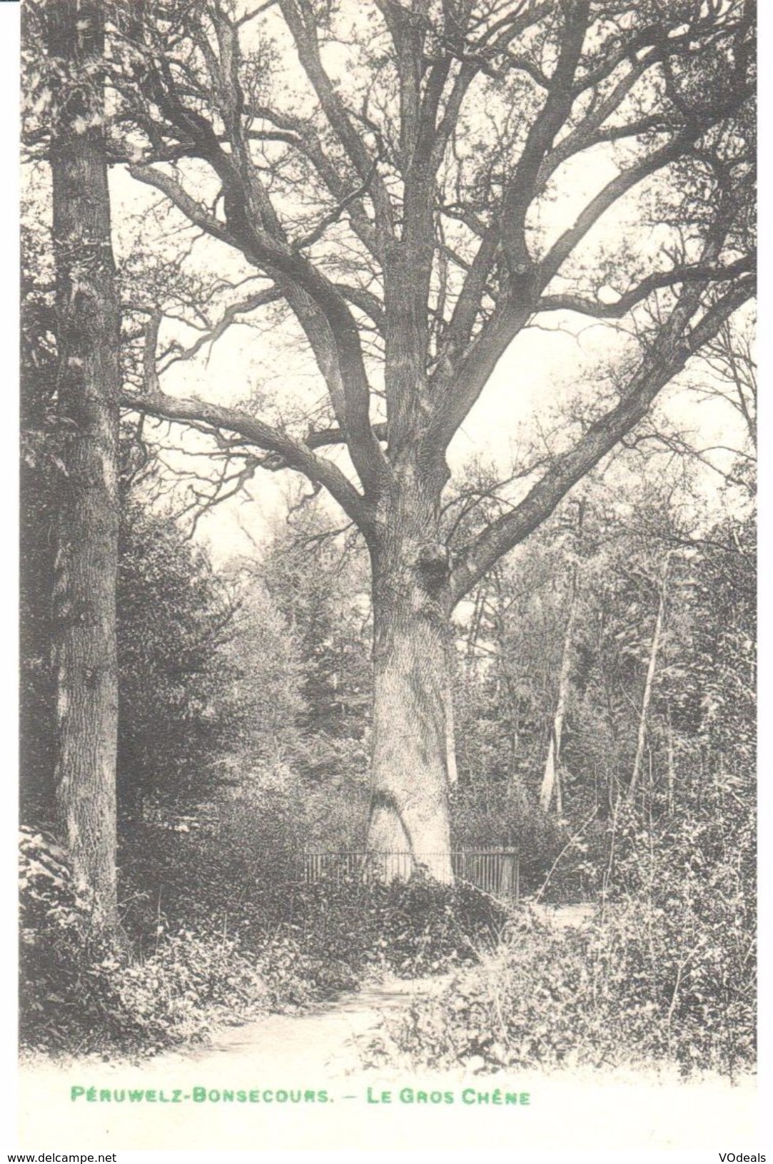 Peruwelz - Bon-Secours - Le Gros Chêne - Péruwelz